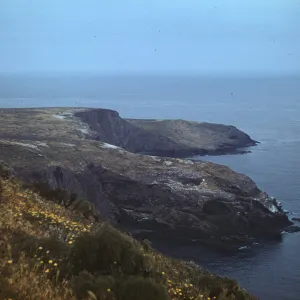 northwest coast of Santa Barbara Island