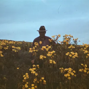 Dr. Meryl Byron Dunkle (M.B. Dunkle) on Santa Barbara Island