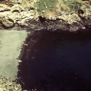 Santa Barbara Island, Sea Elephant Beach