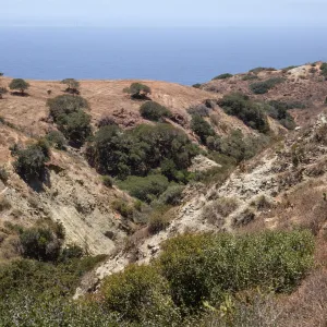 Santa Catalina Island