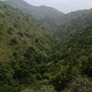 Santa Catalina Island 