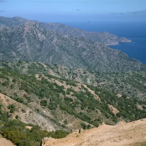 Wrigley Reservoir on Santa Catalina Island