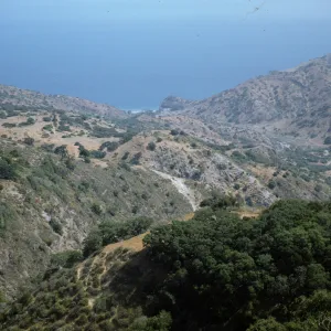 Black Jack Mountain on Santa Catalina Island