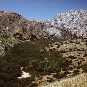 Willows Canyon to El Tigre Ridge on Santa Cruz Island