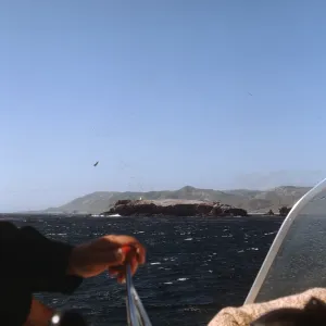 Santa Cruz Island from Boat