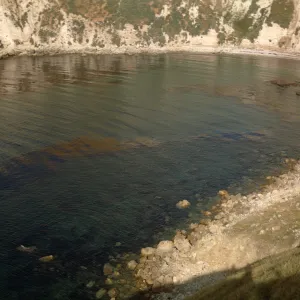 Potato Harbor