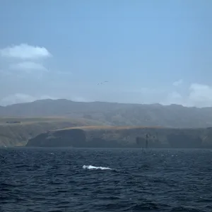 Santa Cruz Island from boat