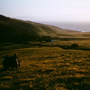 Santa Cruz Island East of Christy Ranch