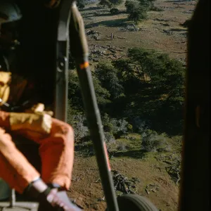Santa Cruz Island from inside helicopter
