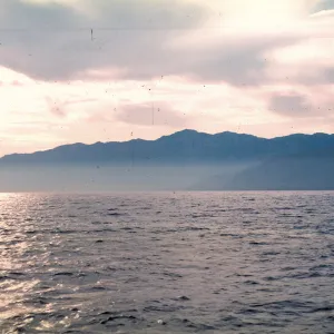 Santa Cruz Island