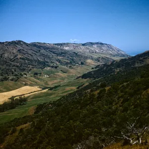 Looking East Down Canada del Medio on Santa Cruz Island