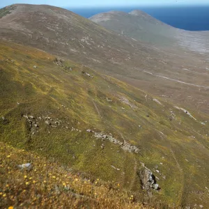 Looking west to West Point, Santa Cruz Island