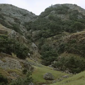 Santa Cruz Island, east end