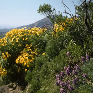 Sant Cruz Island