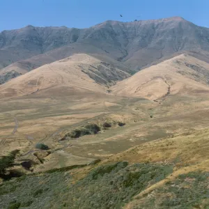 Santa Cruz Island, above Christy Ranch