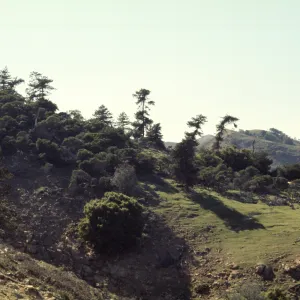 Santa Cruz Island