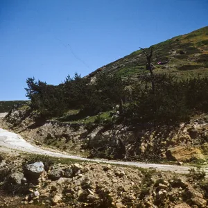 Road on Santa Rosa Island