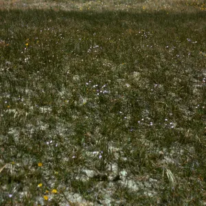 East Point area of Santa Rosa Island