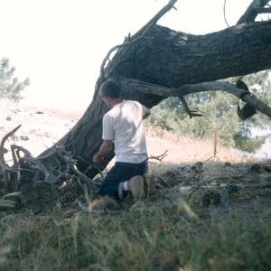 Lower Torrey Pines Station, Santa Rosa Island