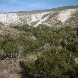 Horse Beach Canyon, San Clemente Island