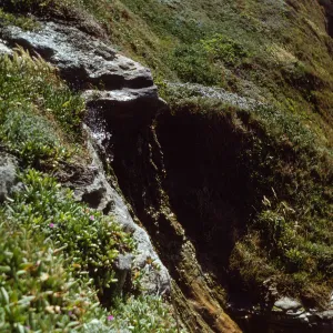 San Miguel Island, Otter Harbor peninsula