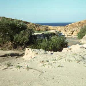 San Miguel Island, Willow Canyon