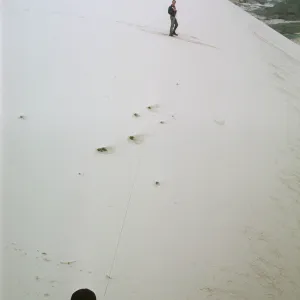 NPS dune transect, San Miguel Island