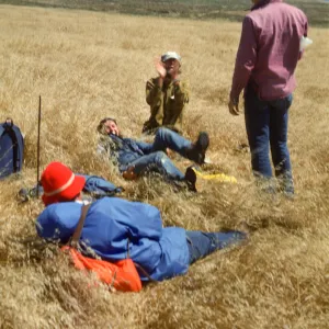 Researchers on San Miguel Island