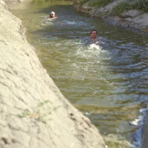 bathing in a pool in Willow Canyon, San Miguel Island