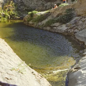 bathing in a pool in Willow Canyon, San Miguel Island