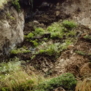 drainage slump, San Miguel Island