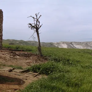 San Miguel Island, ranch after fire
