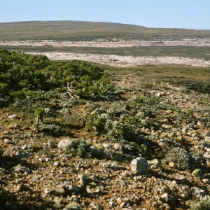 San Miguel Island (liveforevers)