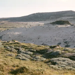 Concretions on San Miguel Island