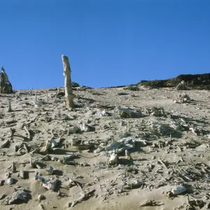 Concretions on San Miguel Island