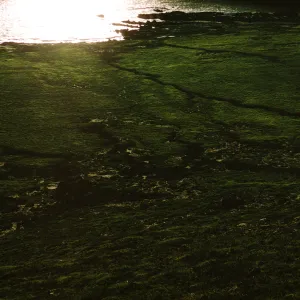 San Miguel Island