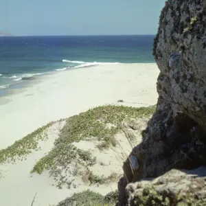 Cardwell Point, San Miguel Island