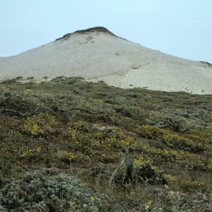 San dune, San Miguel Island