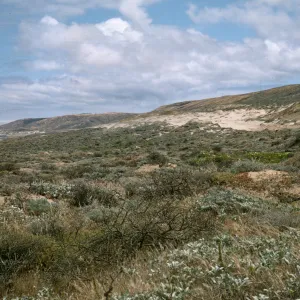 San Nicolas Island