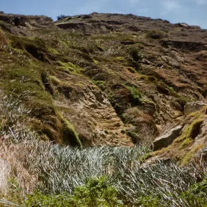 Tule Canyon, San Nicolas Island