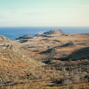 East San Benito Island