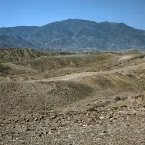 Monte Cedros, Cedros Island