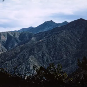 Northern Pines looking south, Isla de Cedros