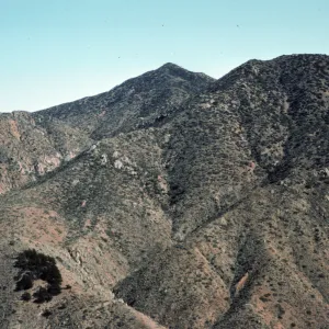 peaks south of Pine ridges, north end Isla de Cedros