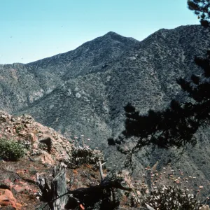 peaks south of Pine ridges, Isla de Cedros
