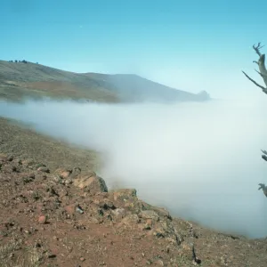 coastal fog, northeast side of Guadalupe Island