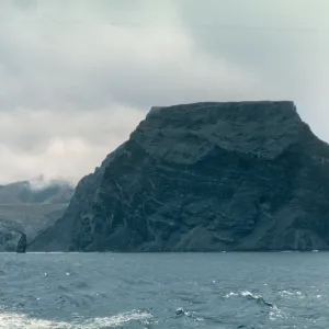 north end of Guadalupe Island, from boat