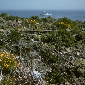 Hassler Cove, San Martin Island, large boat offshore