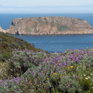 Prince Island, San Miguel Island