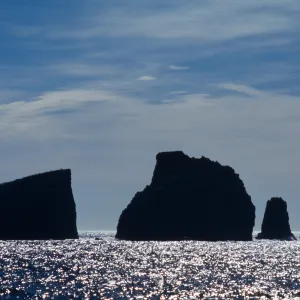 East end, East Anacapa Island